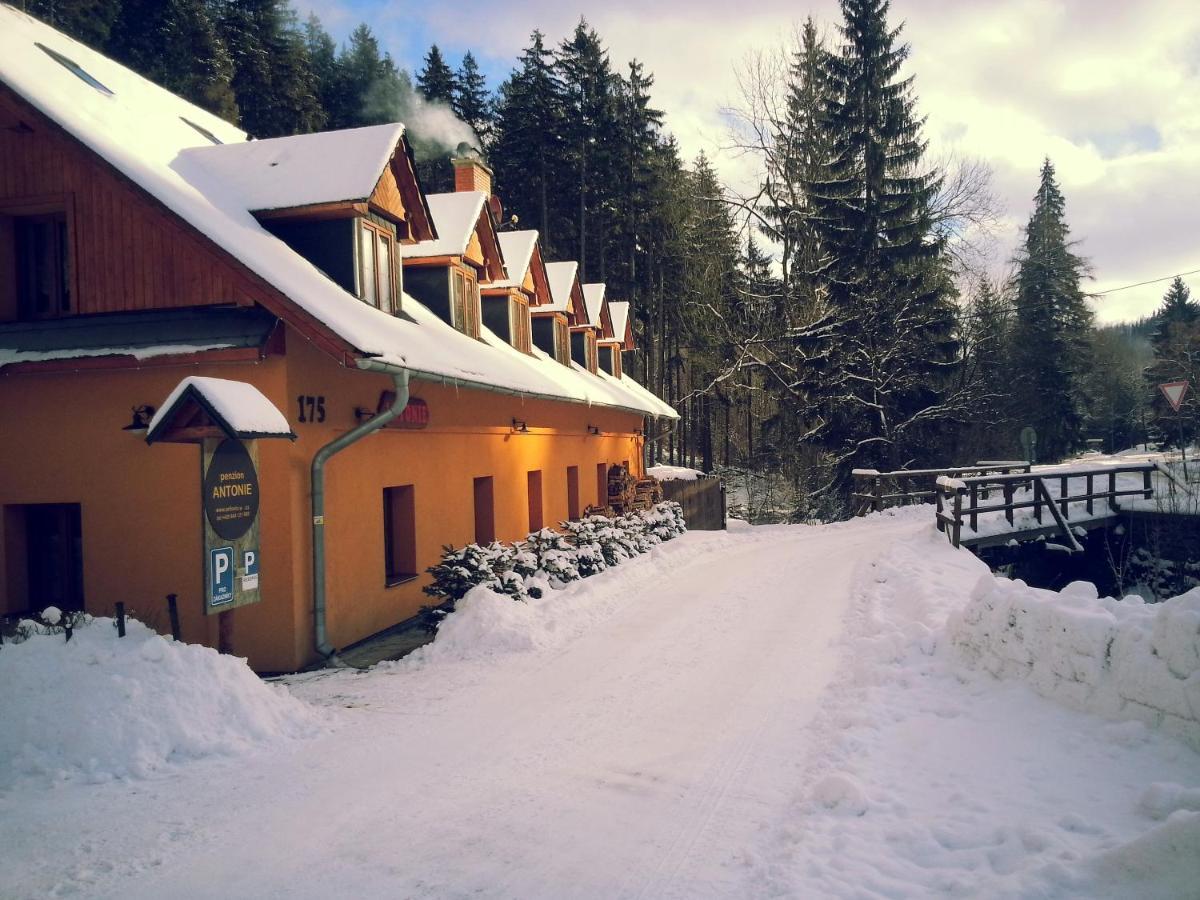 Hotel Penzion Antonie Malá Morávka Exterior foto